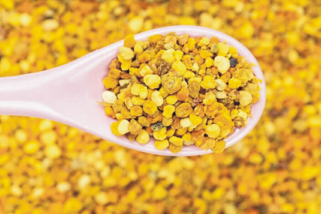 naturalszop Dlaczego konsekwentna suplementacja pyłku pszczelego i pierzgi jest kluczem do sukcesu? 1 naturalszop pylk